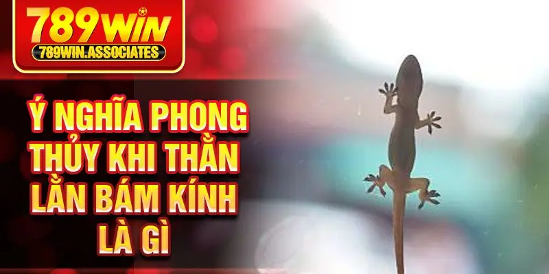 ý nghĩa phong thủy khi thằn lằn bám kính là gì