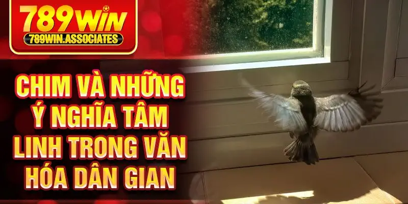Chim và những ý nghĩa tâm linh trong văn hóa dân gian